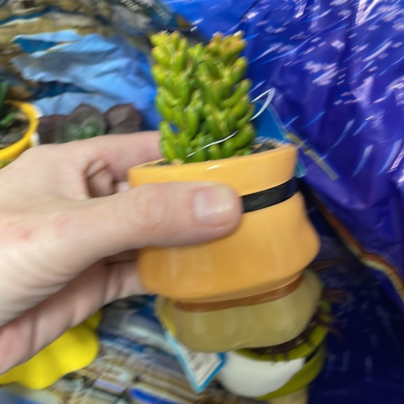 COPY - 🔥RARE🏰SOLDOUT DISNEY SNOW WHITE👗SEVEN DWARVES FAUX SUCCULENT TERRARIUM‼️… - Picture 16 of 17